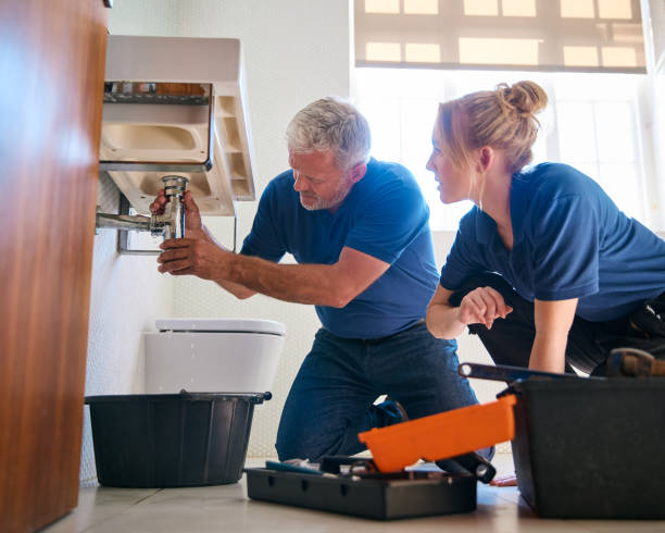 Best 24/7 Emergency Plumbing Services  in Frankenmuth, MI